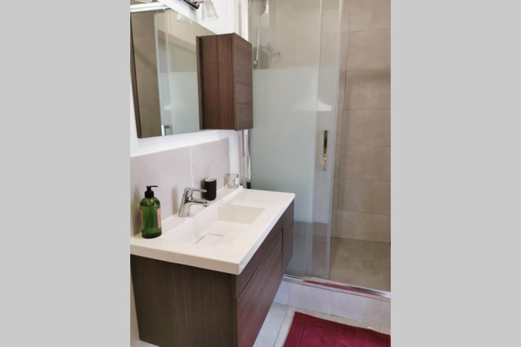 Lovely Flat In Paris - City Center - Nation-Picpus Екстер'єр фото